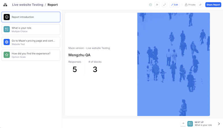 An overview of Maze report