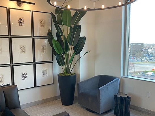 Edina Medical Spa
