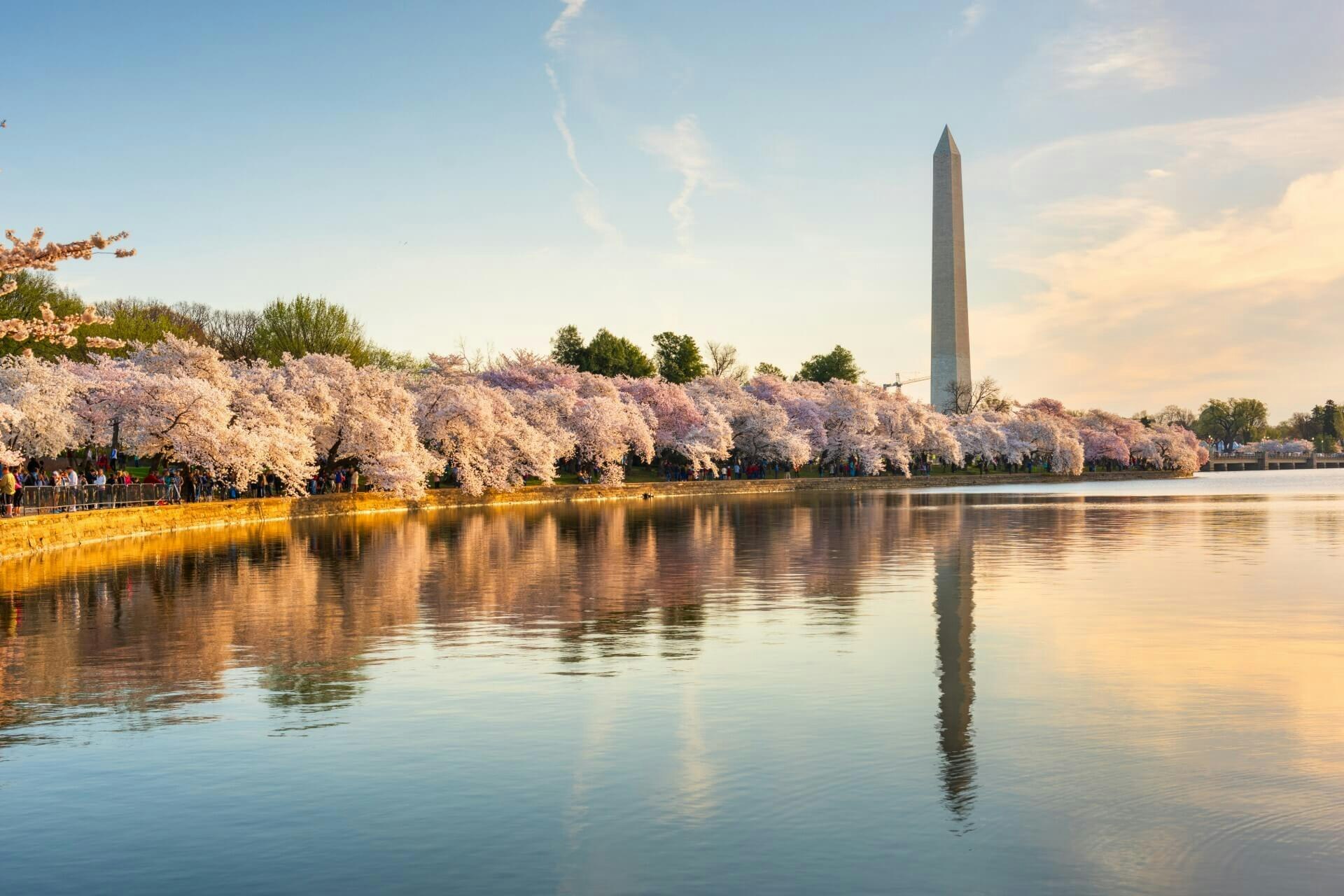 Beautiful lake with trees and a tower