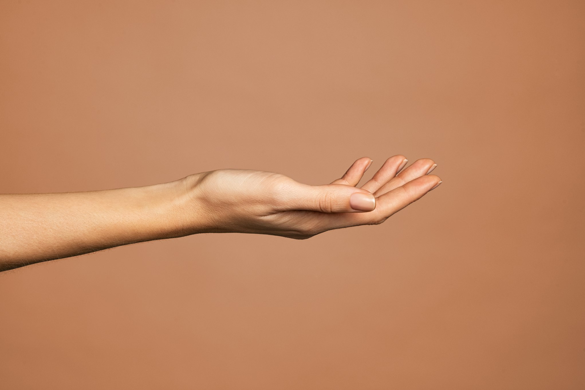 Elegant woman hand with empty palm up