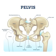 What Are Hip Dips And Why Do They Form AirSculpt What Are Hip Dips And Why Do They Form AirSculpt