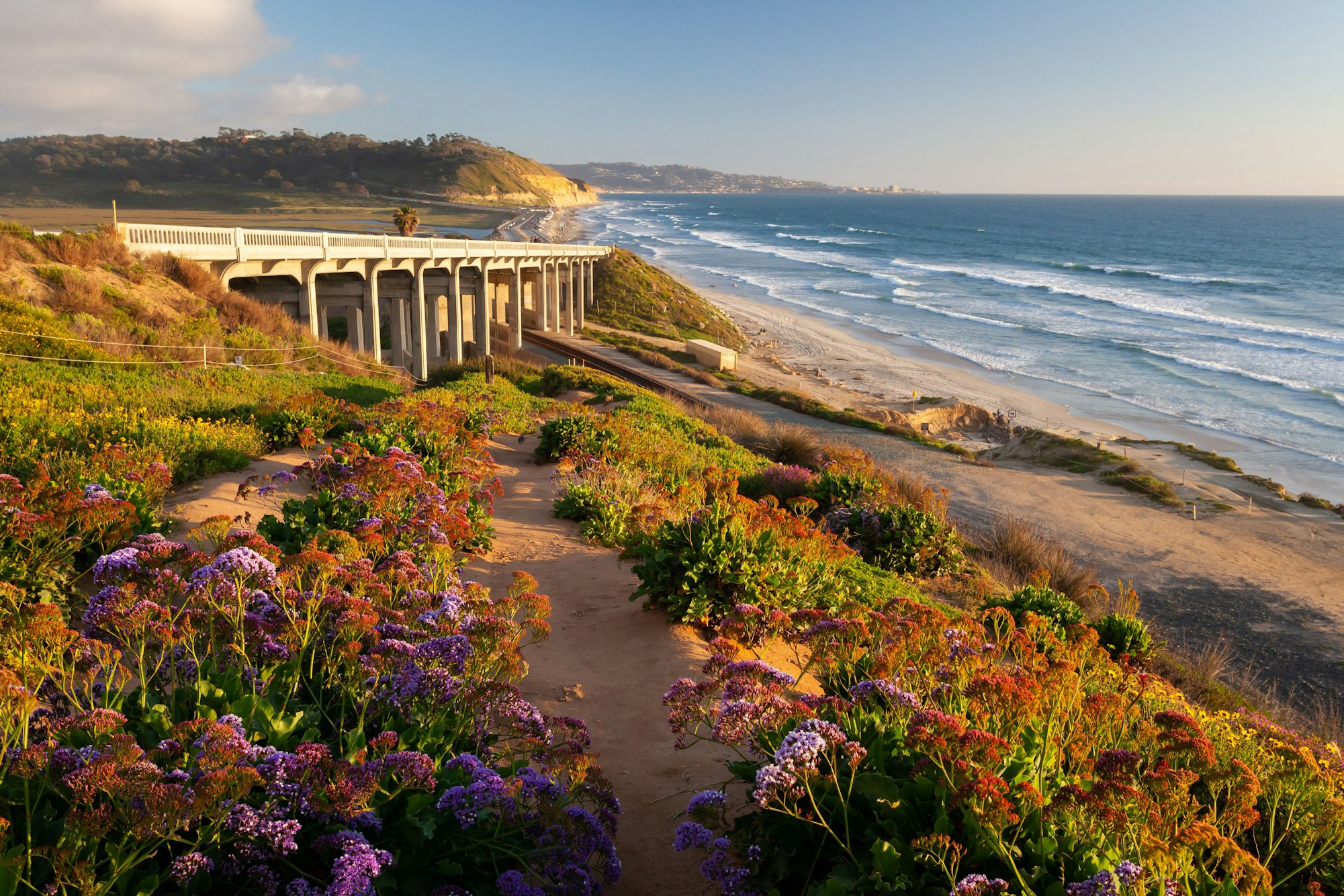 Will Fat Come Back After My San Diego Liposuction?