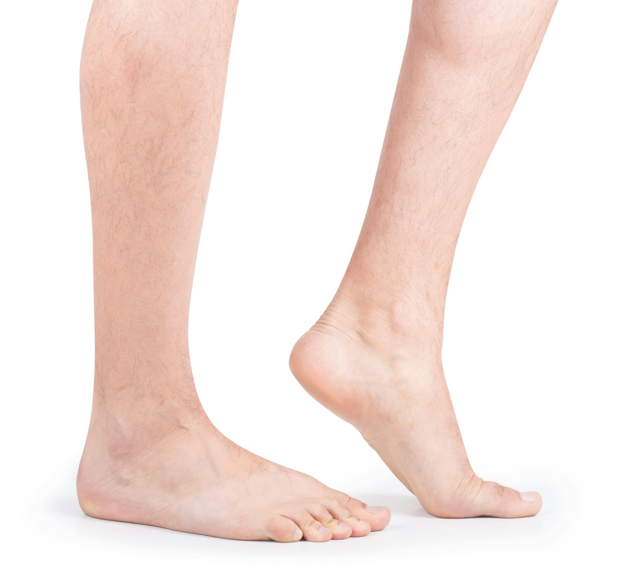 lower leg and foot
