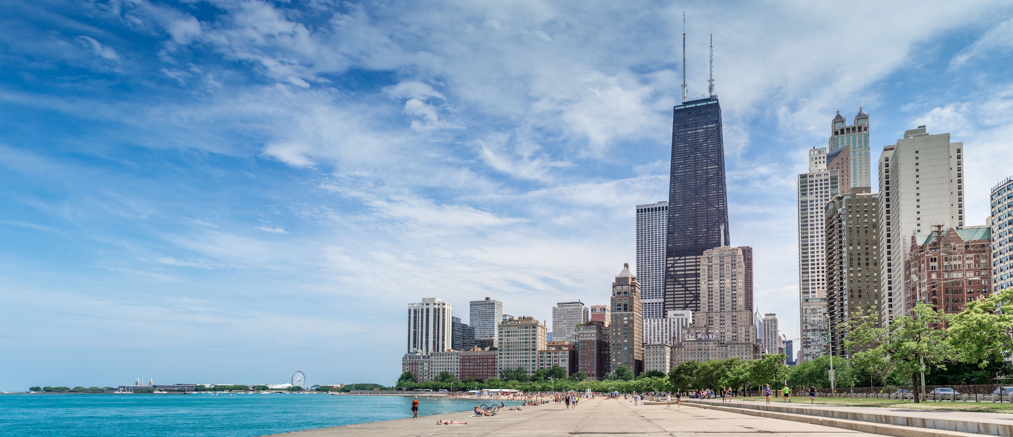chicago skyline
