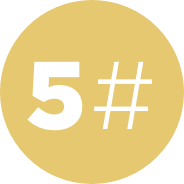 number five