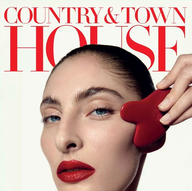 Country and Town House