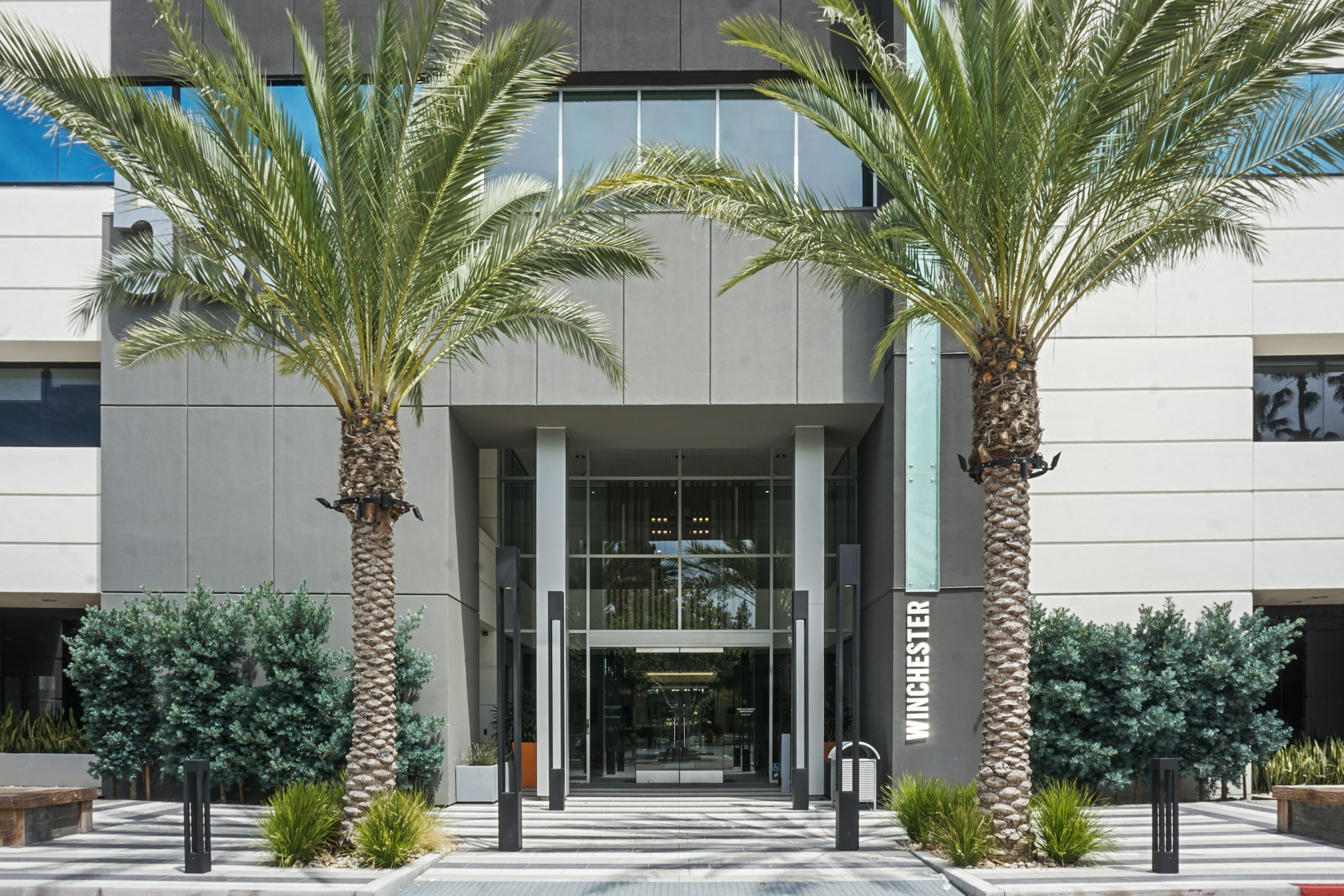 Exterior entrance with palm trees and signage in AirSculpt Body Contouring San Jose clinic