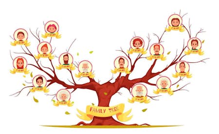 How to trace your family tree