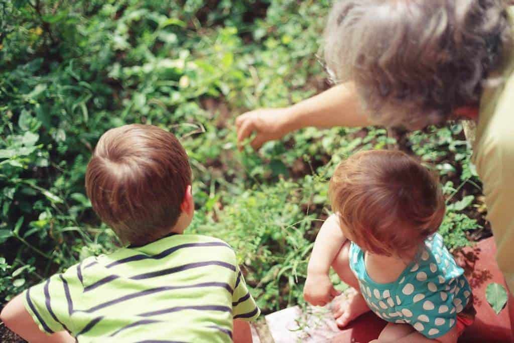 5 Hobbies to Start with Your Grandchildren