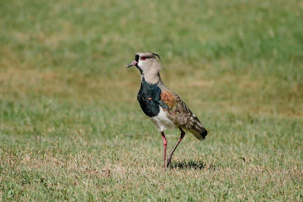 5 hobbies if you have limited mobility