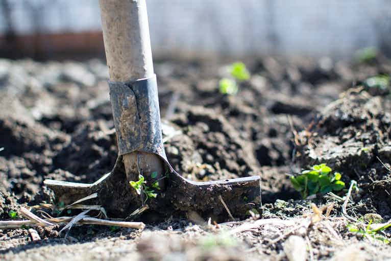 How to get started with an allotment