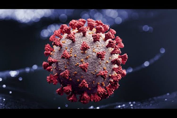 ‘Vaccination is very effective against the Delta variant’: Dr. Shereef Elnahal