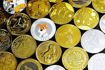 What is the best cryptocurrency to invest in for 2022?