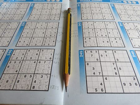 Is Sudoku good for your brain?