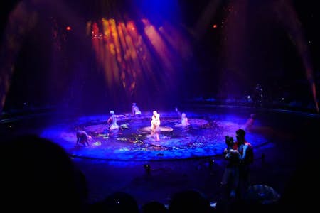 Celia Imrie’s top 10 acting roles