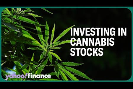 Cannabis stocks: Analyst discusses the politics of US regulatory process and path to legalization