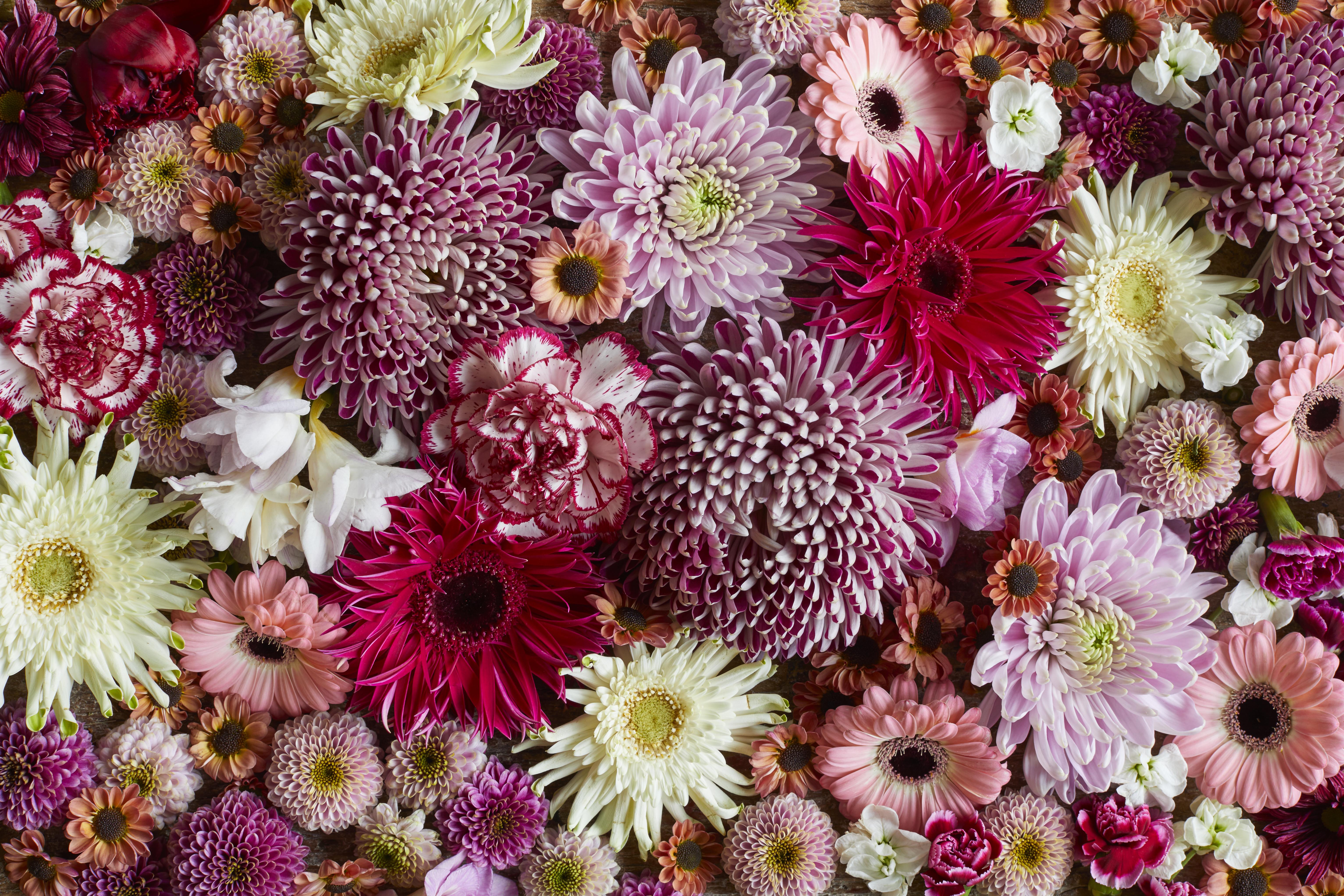 Six reasons to treat yourself to a flower subscription