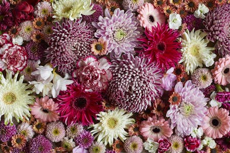 Six reasons to treat yourself to a flower subscription