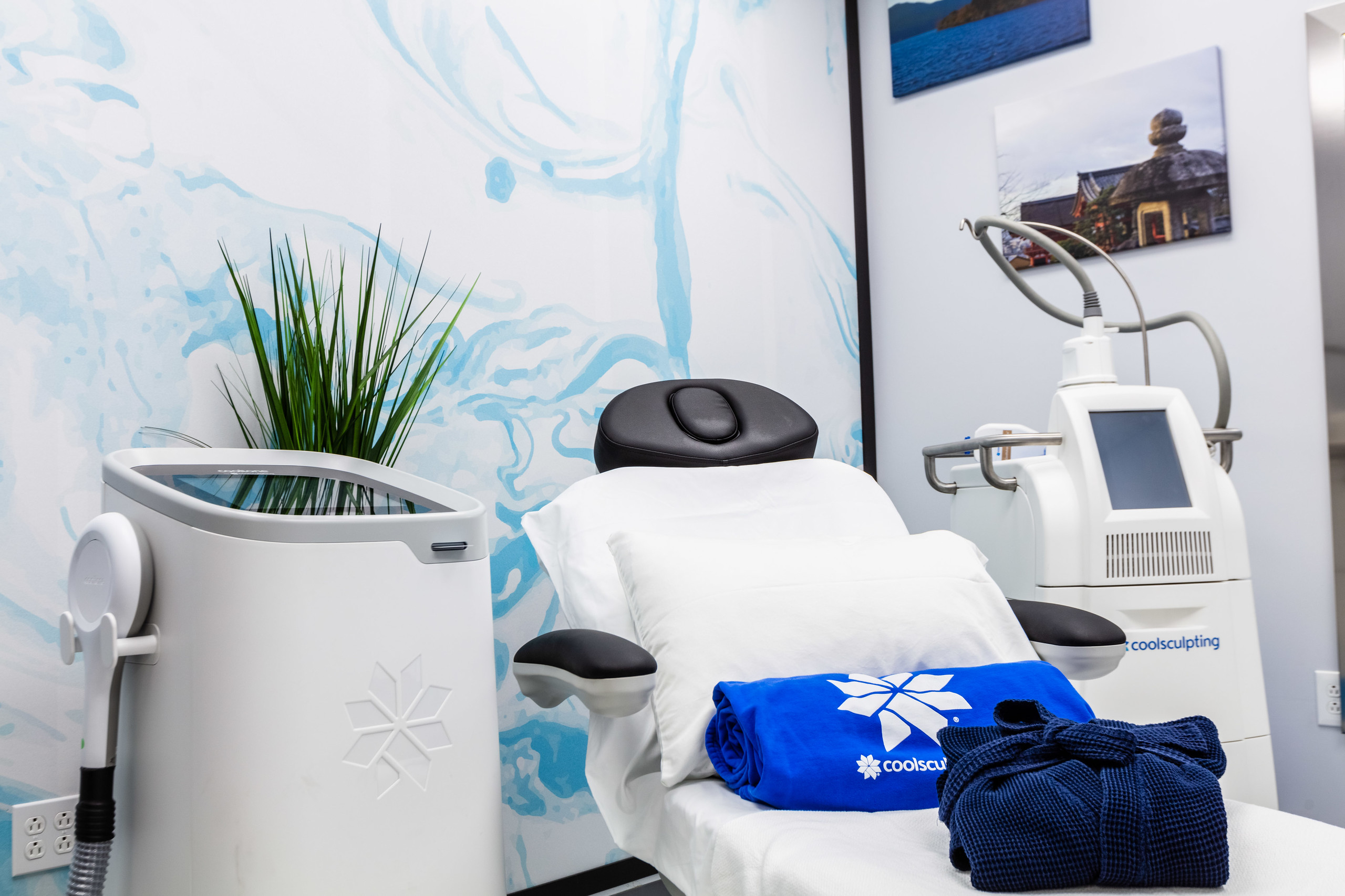 ZL Medspa Blog | All About Coolsculpting Elite