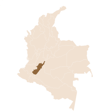 pin Café El Desarollo region Timaná, Huila in Colombia