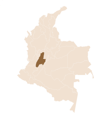 pin La Gaitania region Planadas, Tolima in Colombia