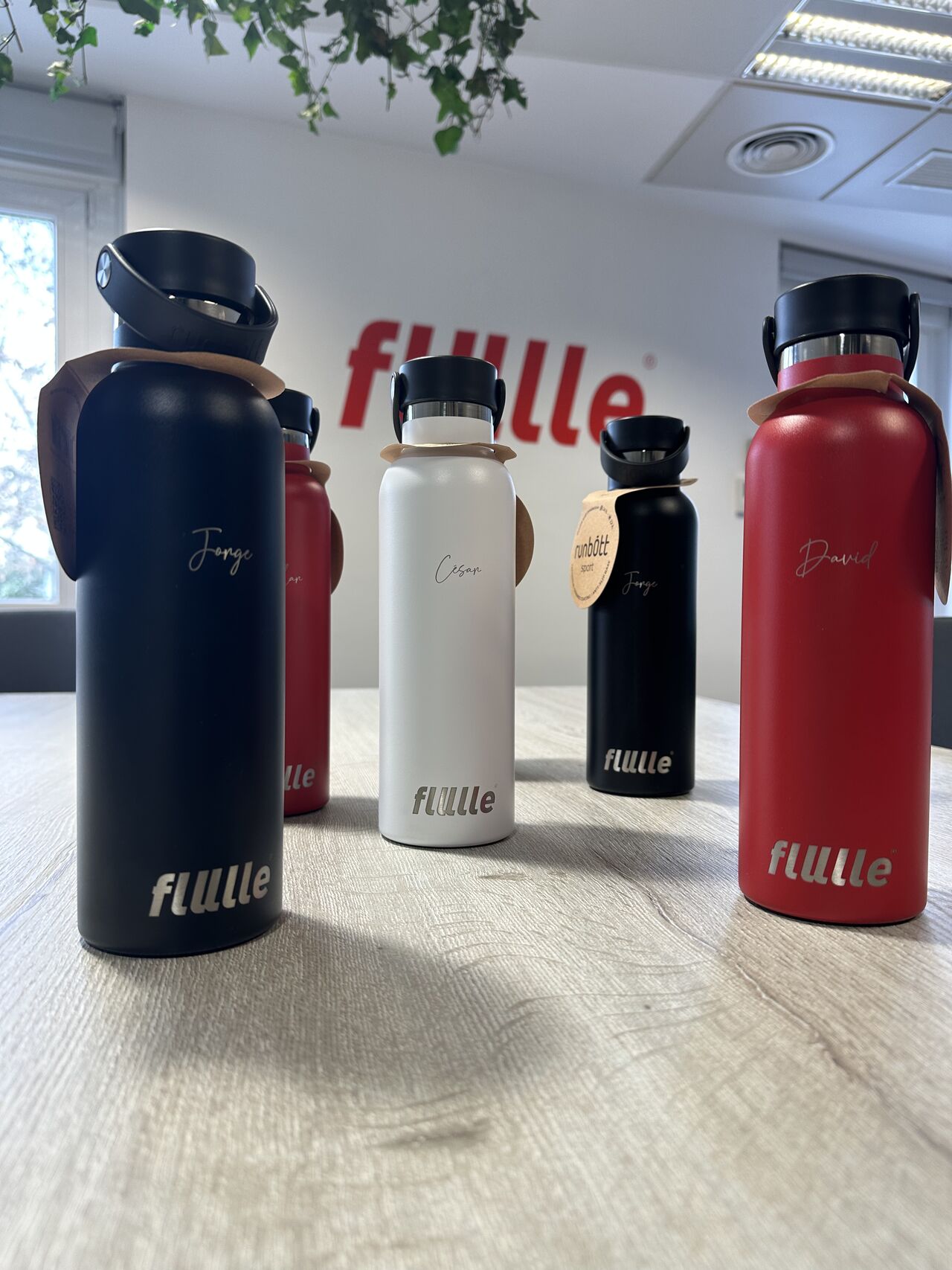 BOTELLAS FLULLE