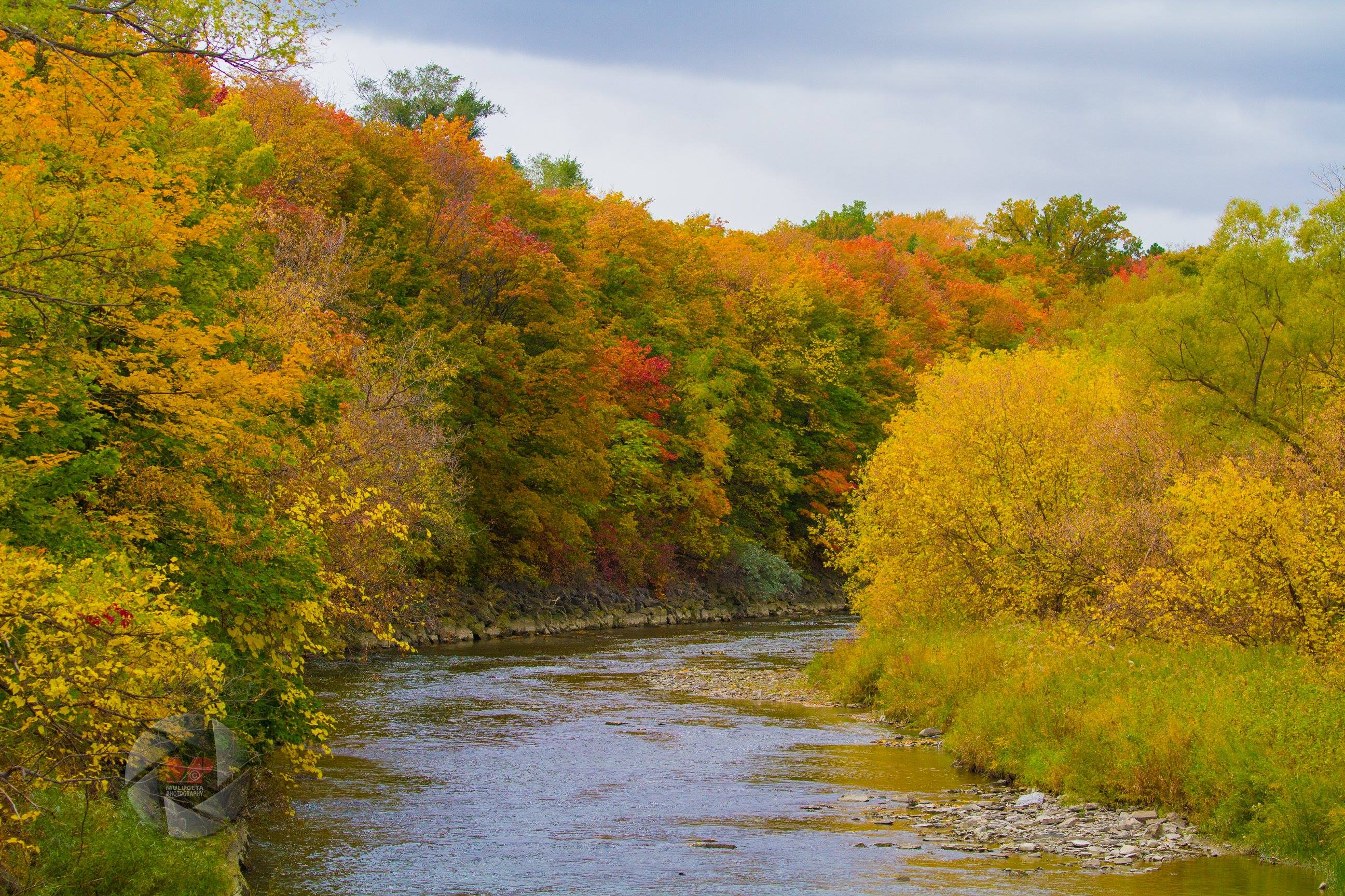 A river surrounded by trees in autumn
