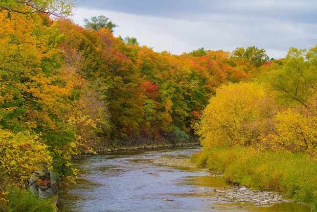 A river surrounded by trees in autumn