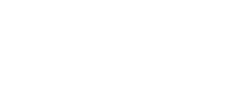 Toronto Life Logo