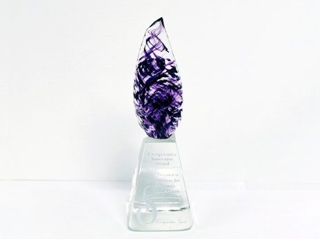 Co-operative Spirit Award
