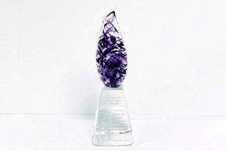 Co-operative Spirit Award