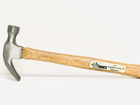 Affordable Housing Champion award