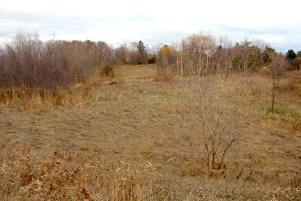 A barren field of land purchased by Options for Homes
