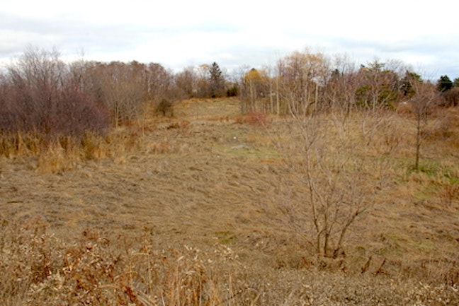 A barren field of land purchased by Options for Homes