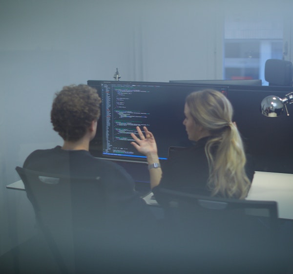 Software & IT 