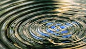 Every Little... and The Ripple Effect