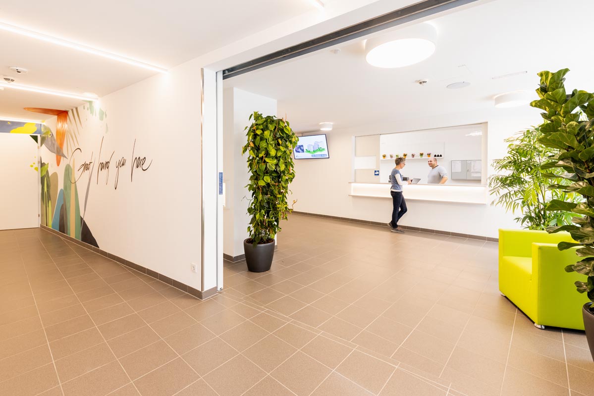 gallery