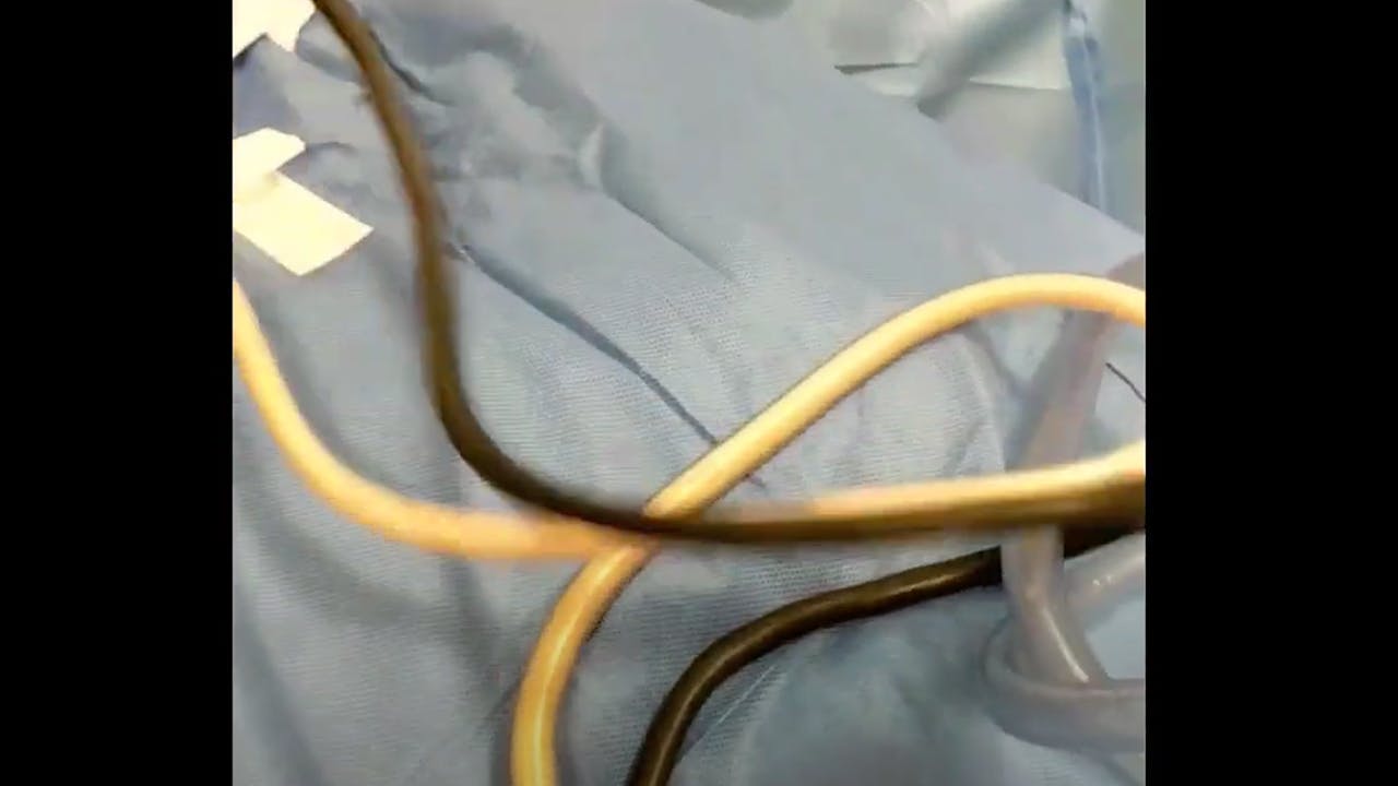 Repta Plastic Surgery