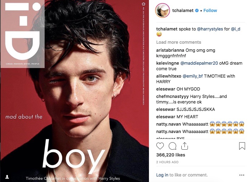 Harry Styles Interviewed Timothée Chalamet and We're Still