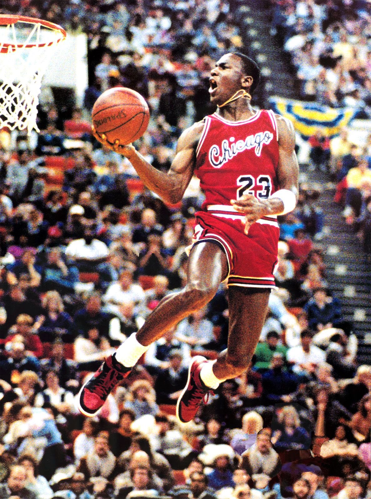 michael jordan in the 90s