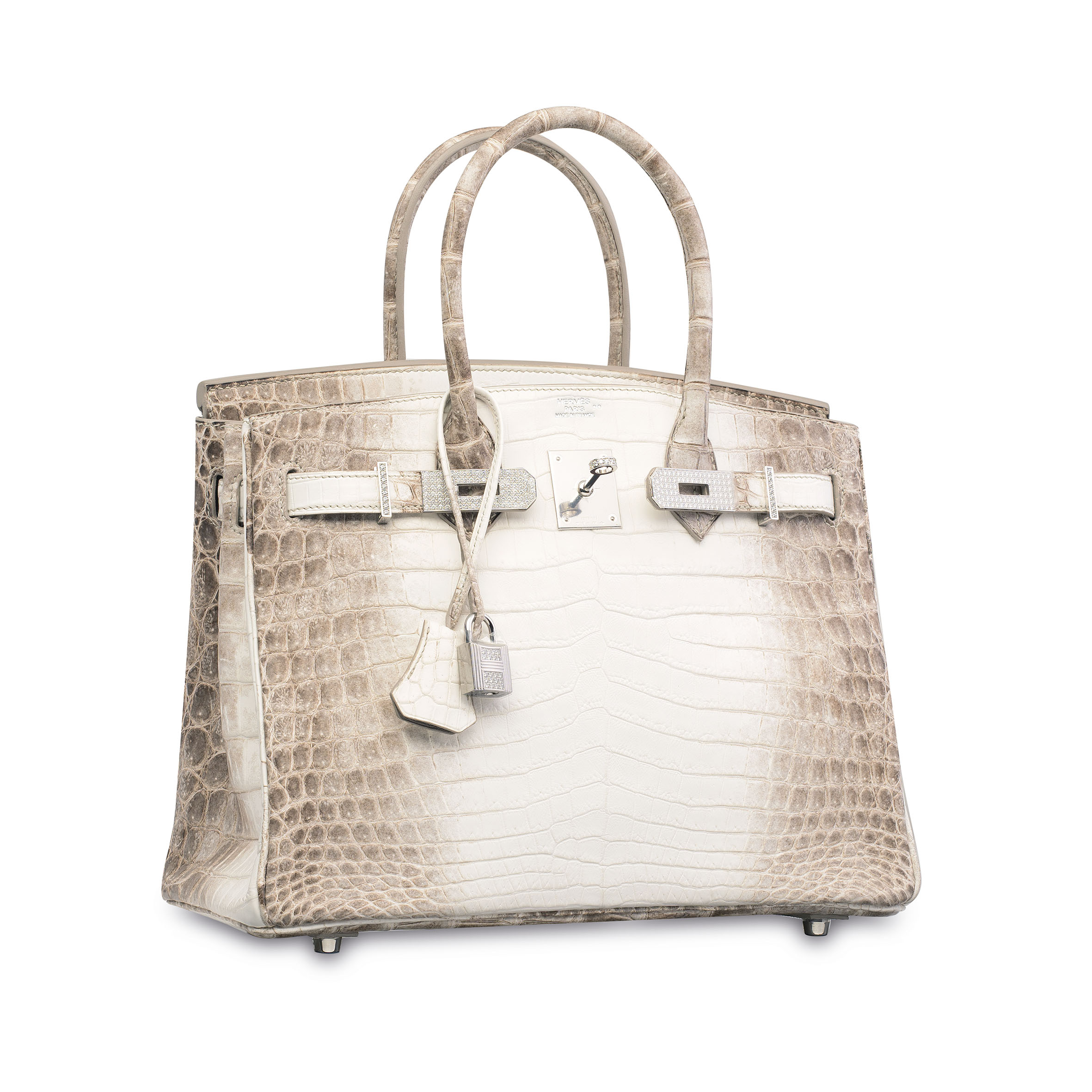 himalayan diamond birkin