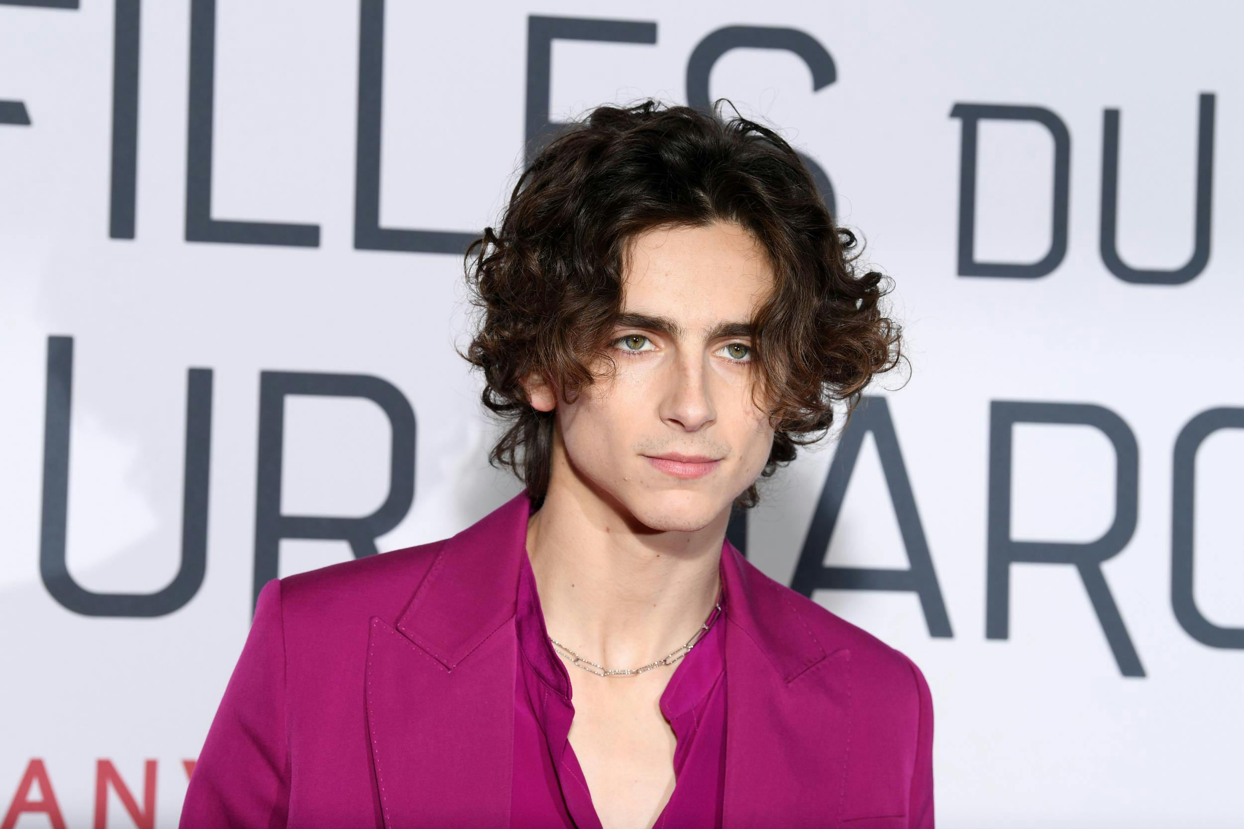 wallpapers Timothee Chalamet Movies On Netflix timothee chalamet and ariana grande