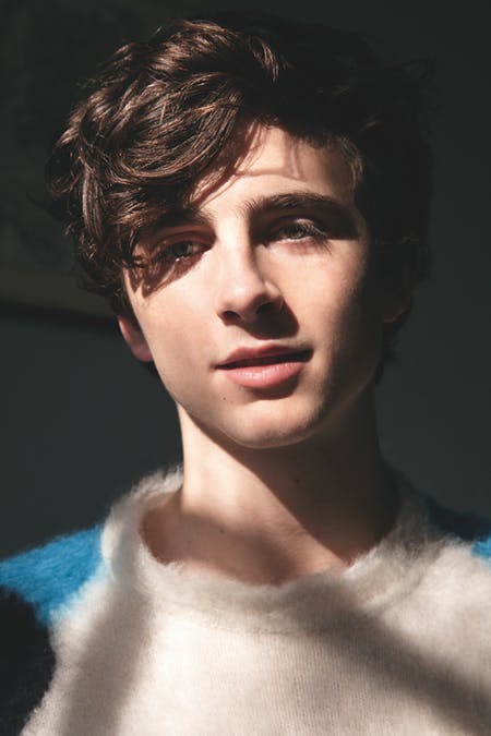 Everything We Know About Timothee Chalamet In Don T Look Up With Ariana Grande And More