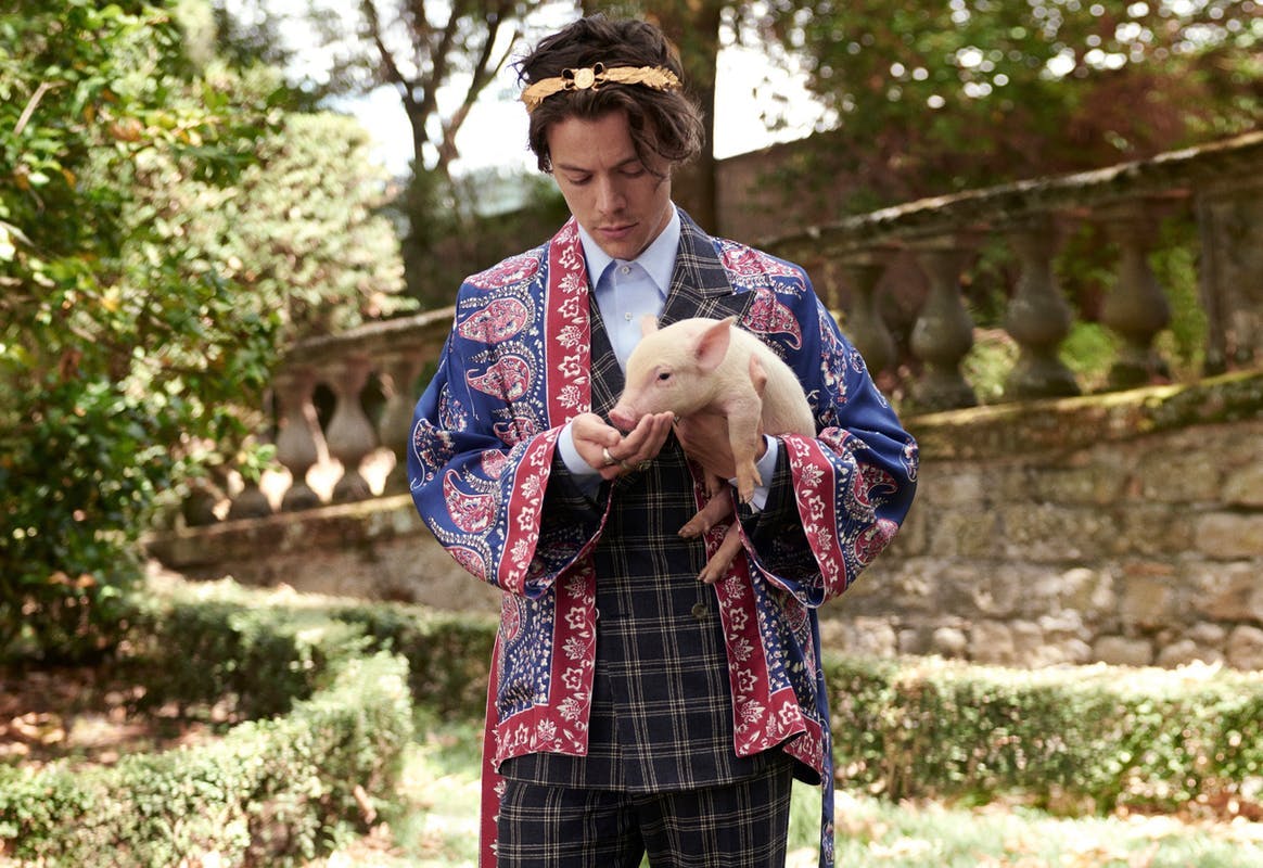 Decoding the Soft Boy Aesthetic – Celebrity Soft Boys Harry Styles Timothée  Chalamet