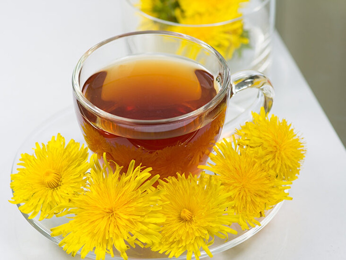What is Dandelion Tea? — 6 Health Benefits of Dandelion Tea Weight Loss