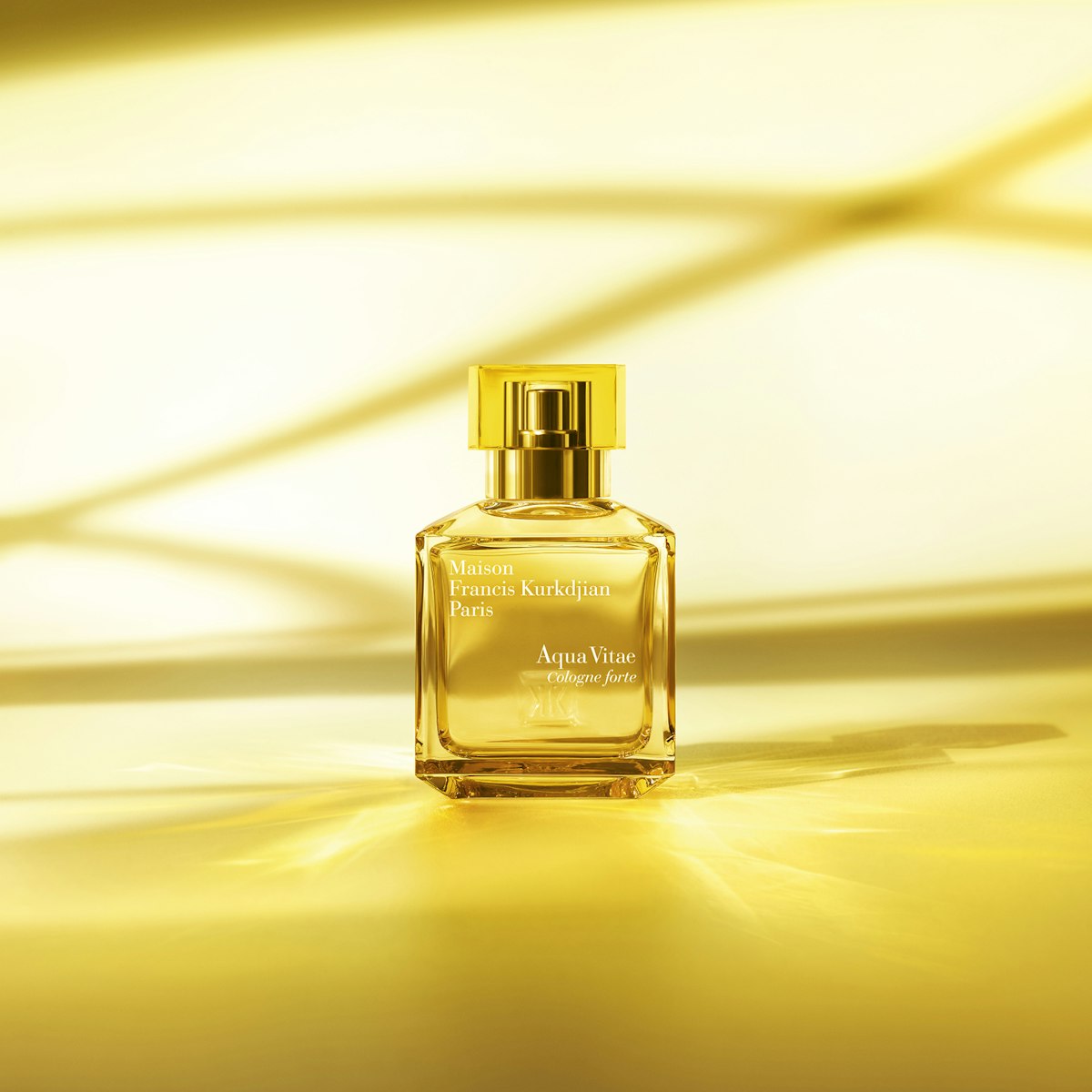 13 Best Summer Fragrances for 2022