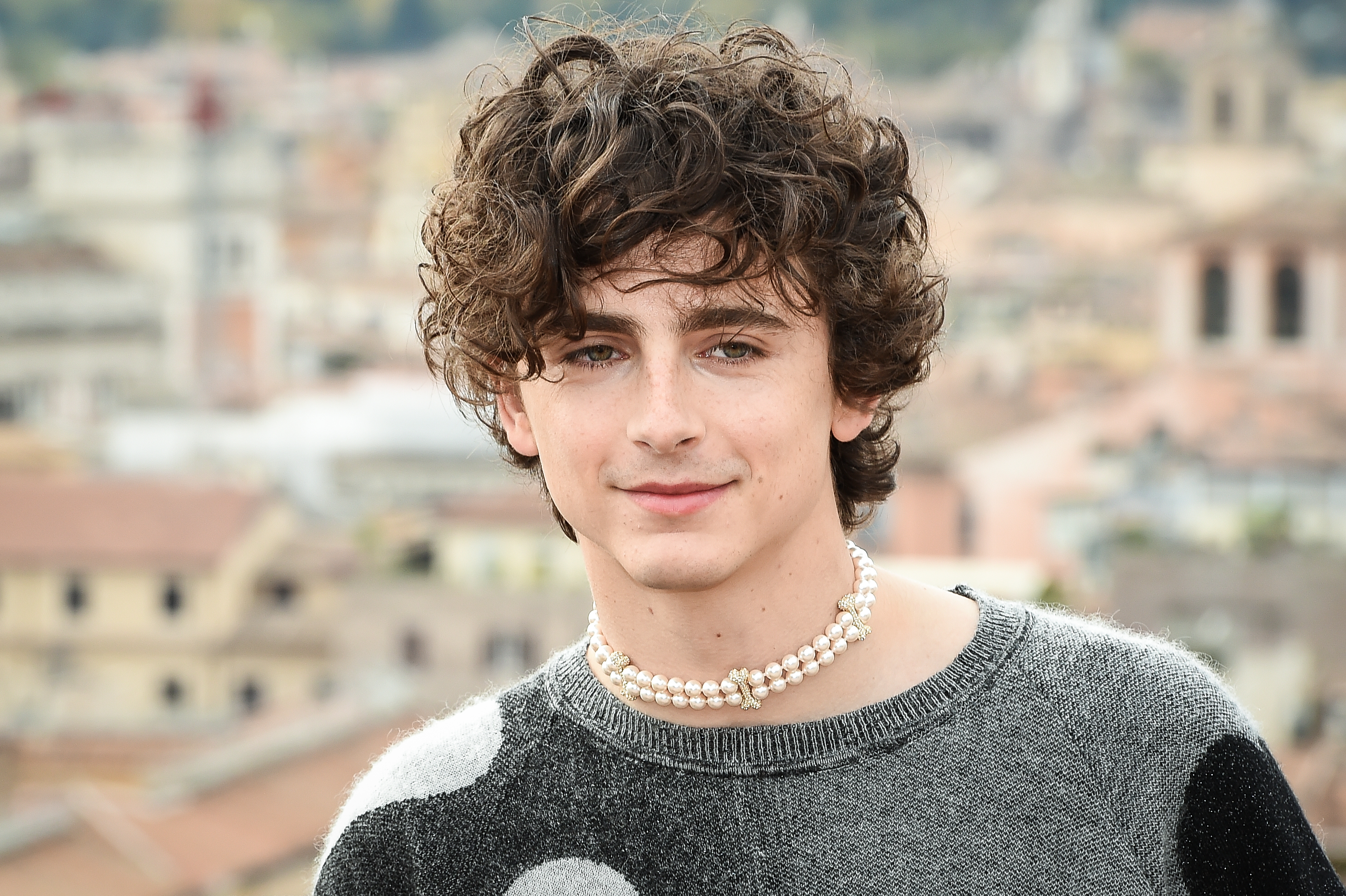 Timothee Chalamet Casual Curly Hairstyle - Hairstyle Story