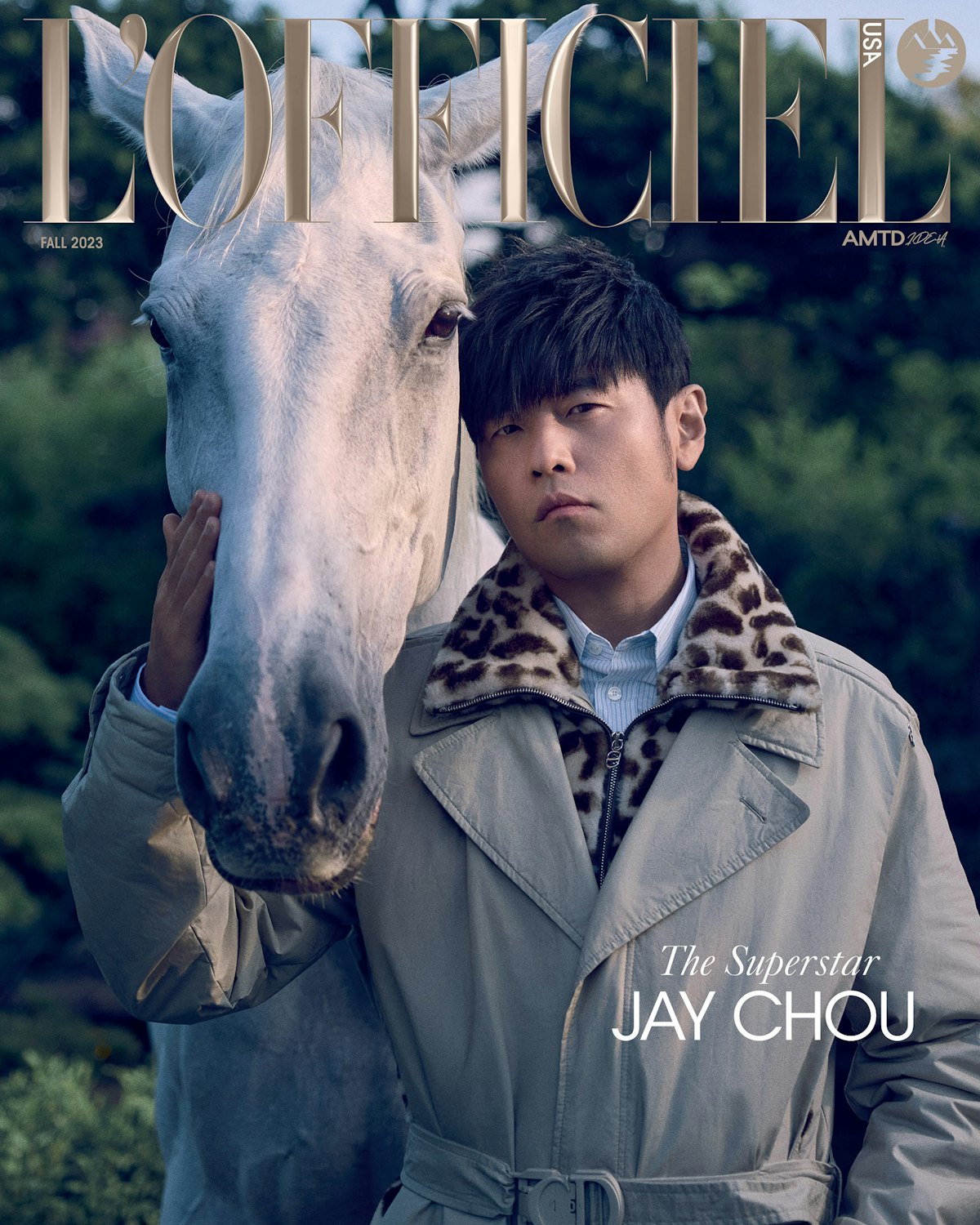 Introducing: The Superstar Jay Chou