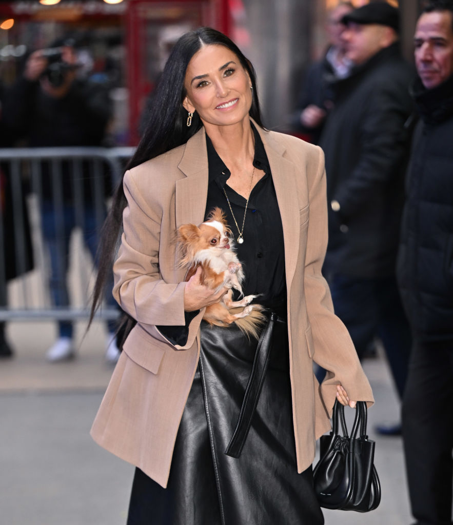 luxury pet accessories