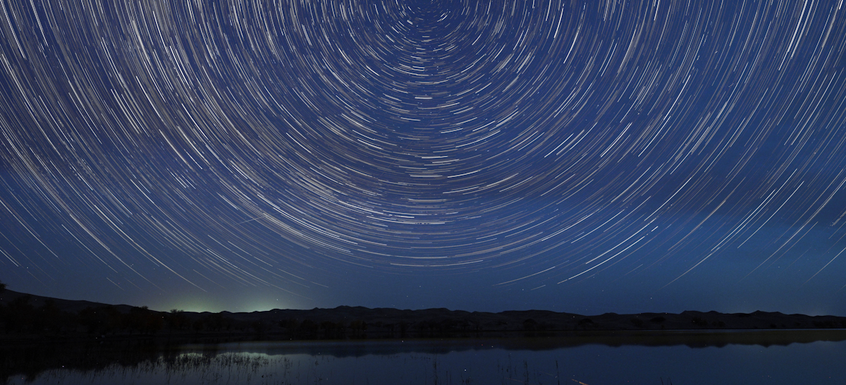 What Every Zodiac Sign Should Know About January's Wolf Moon